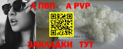 кокс Гатчина