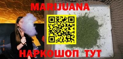 кокс Гатчина