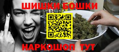 кокс Гатчина