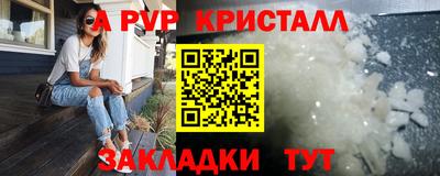 кокс Гатчина